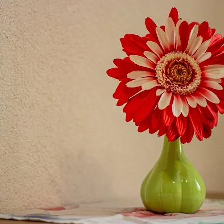 Apartment Fewo Efosa *