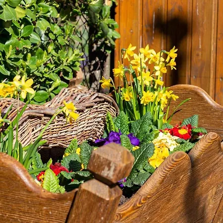 Apartment Fewo Efosa Kappel-Grafenhausen