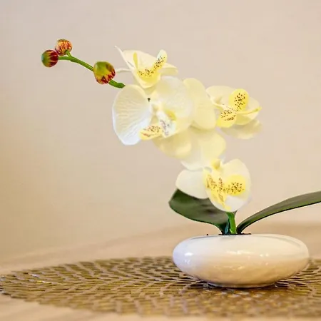 Fewo Efosa Apartment Kappel-Grafenhausen