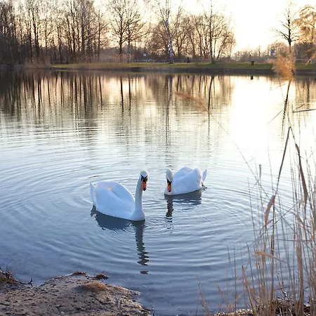 Fewo Efosa Apartment *