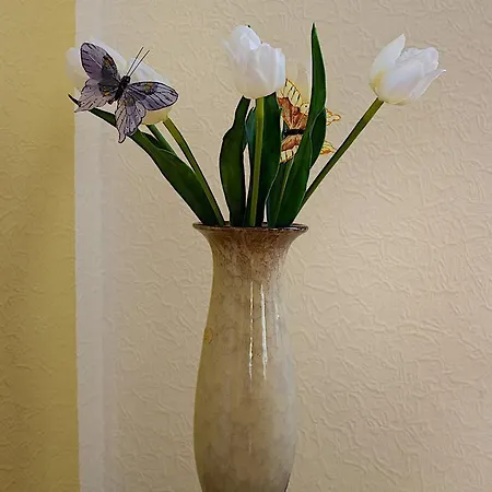 Apartment Fewo Efosa Kappel-Grafenhausen